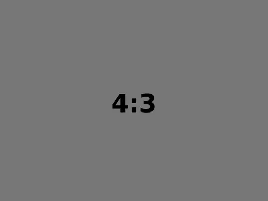 4_3.png